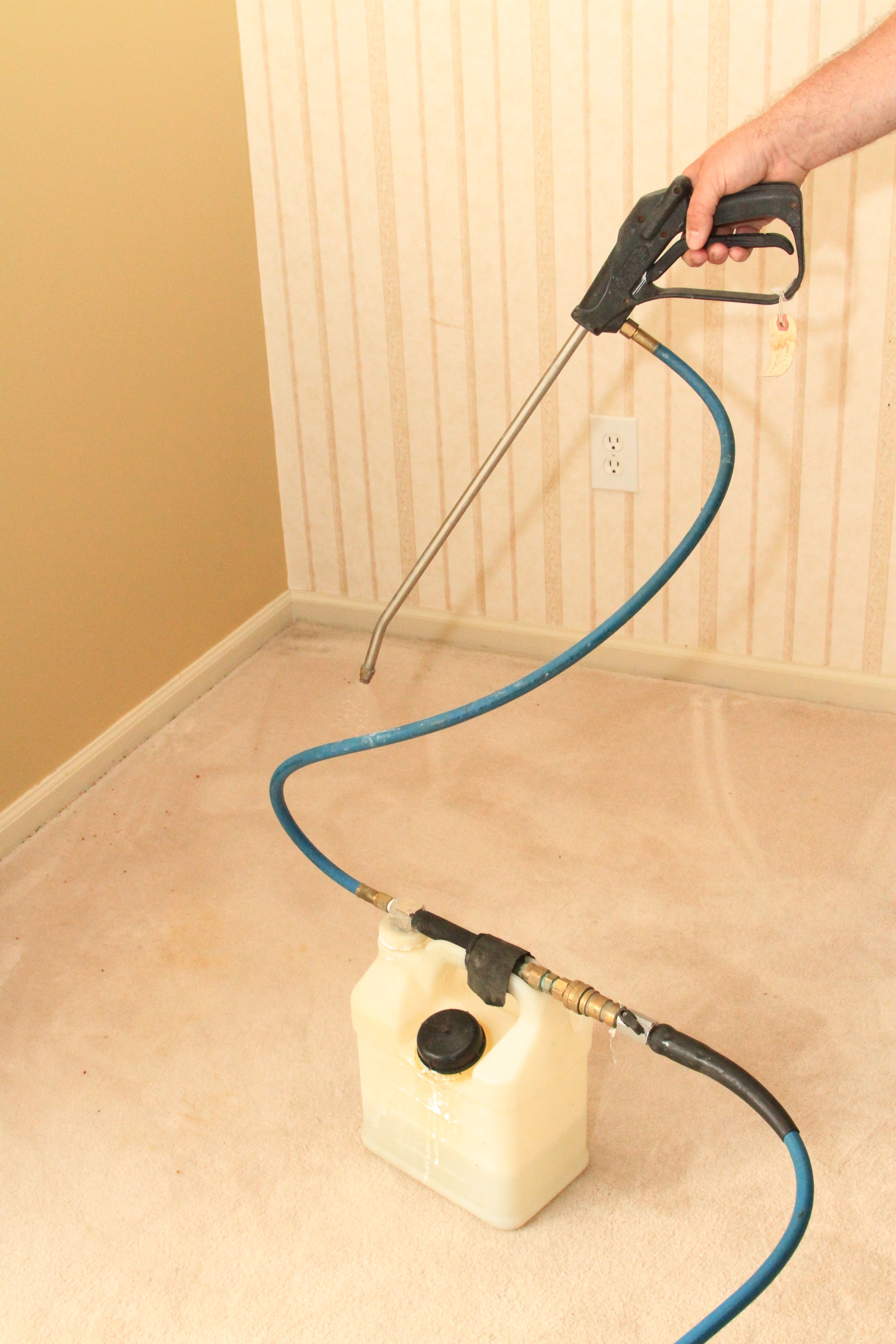 How To Get Rid Of Emulsion Paint From Carpet